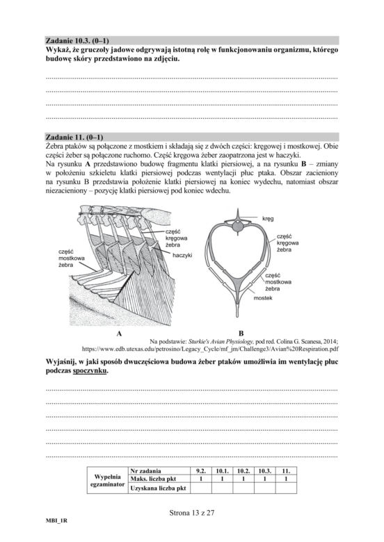 Matura 2018 z biologii [ARKUSZE CKE, ODPOWIEDZI]