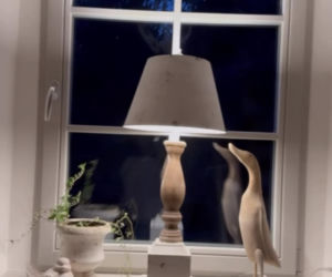 Małgorzata Rozenek-Majdan