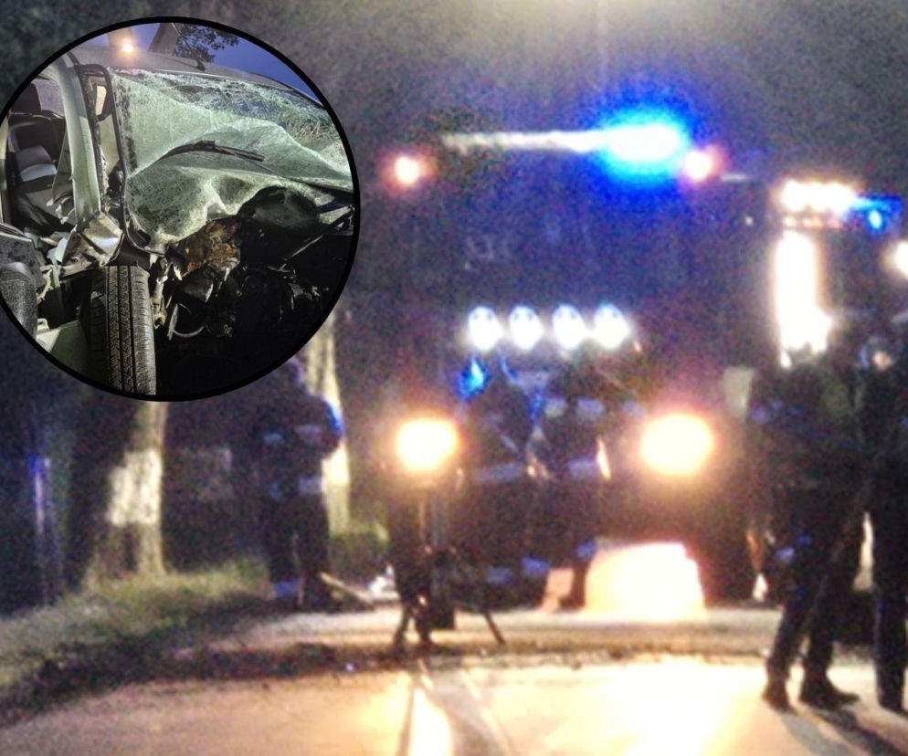 Miał tylko 19 lat. Tragiczny finał nocnej jazdy