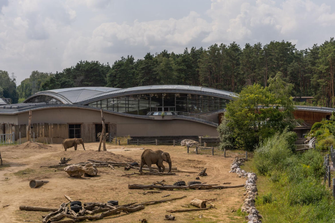 Najlepsze ogrody zoologiczne w Polsce [ZDJĘCIA]