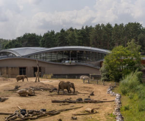 Najlepsze ogrody zoologiczne w Polsce [ZDJĘCIA]