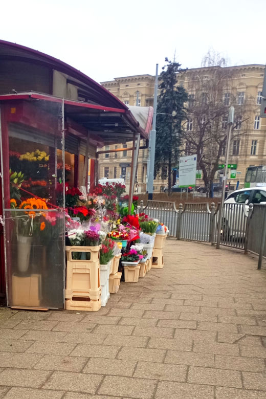 Kwiaciarki znikną z placu Szarych Szeregów