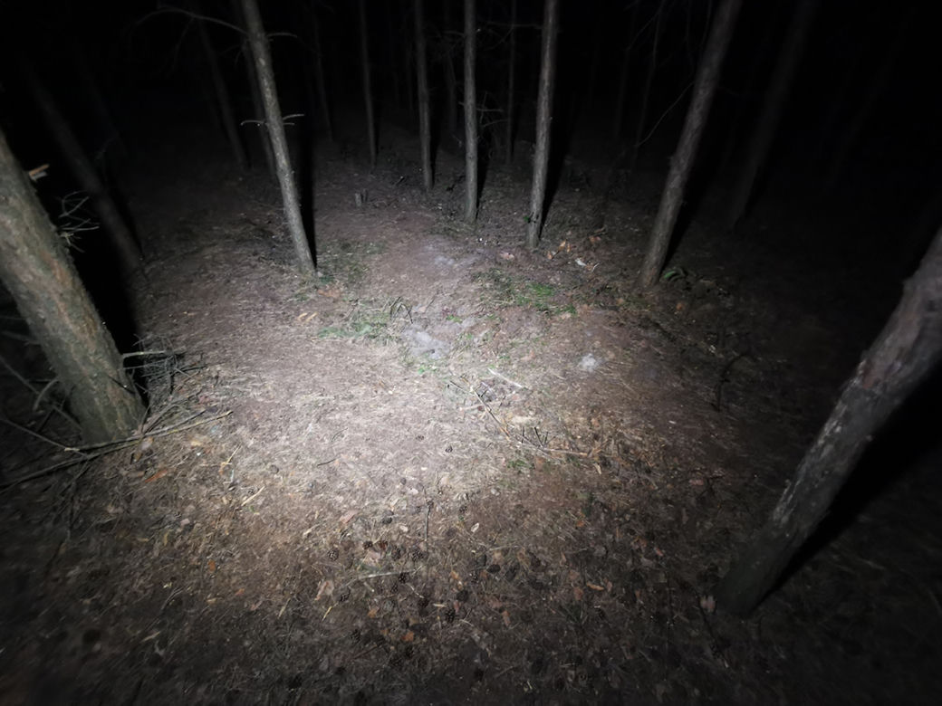Las pod Środą Wielkopolską. Miejsce tragedii 