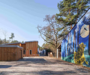 Leśne przedszkole w w Józefowie