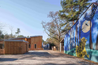 Leśne przedszkole w w Józefowie