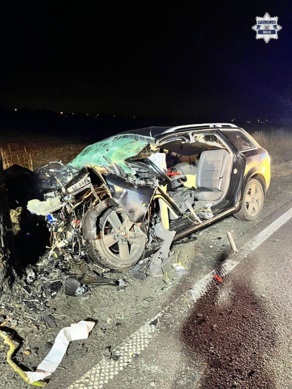 Potworny wypadek! Audi uderzył w drzewo, nie żyje 38-latek