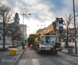 Choinka już stoi na rynku w Gorlicach! WSPANIAŁY świerk mierzy ponad 10 metrów