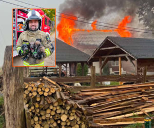 Szczeniaki uratowane z pożaru. Nieprawdopodobne, gdzie się ukryły