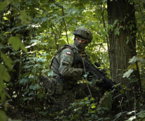 Wojsko Polskie liderem zaufania. Polacy ponad podziałami w ocenie armii