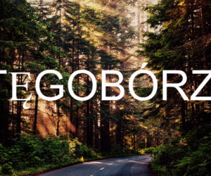 Tęgobórz