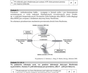 ARKUSZE CKE - Matura biologia 2019