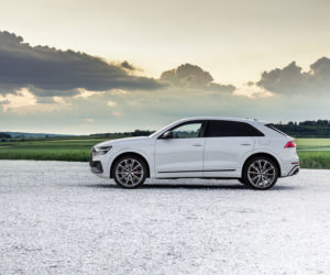  (2021) Audi Q8 60 TFSI e quattro