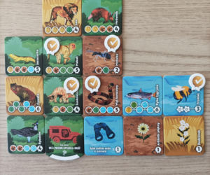 Gra planszowa: Rezerwat