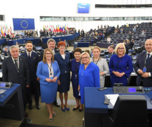 Poradnik dla świerzaków. Nowi w Europarlamencie