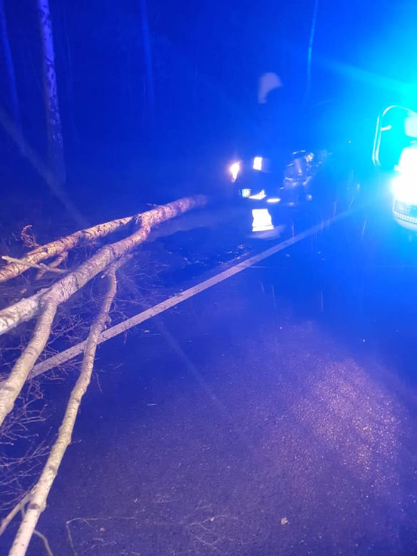 Orkan Sabina zbiera żniwa. Strażacy usuwają skutki wichury