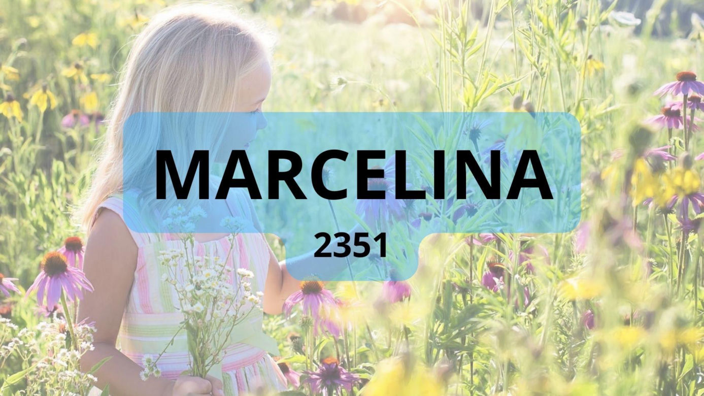 Te imiona najczęściej nadawano dzieciom w 2023 roku
