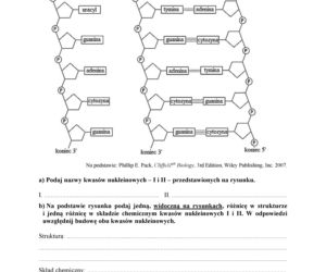Matura 2018 z biologii. Poziom podstawowy - arkusze CKE
