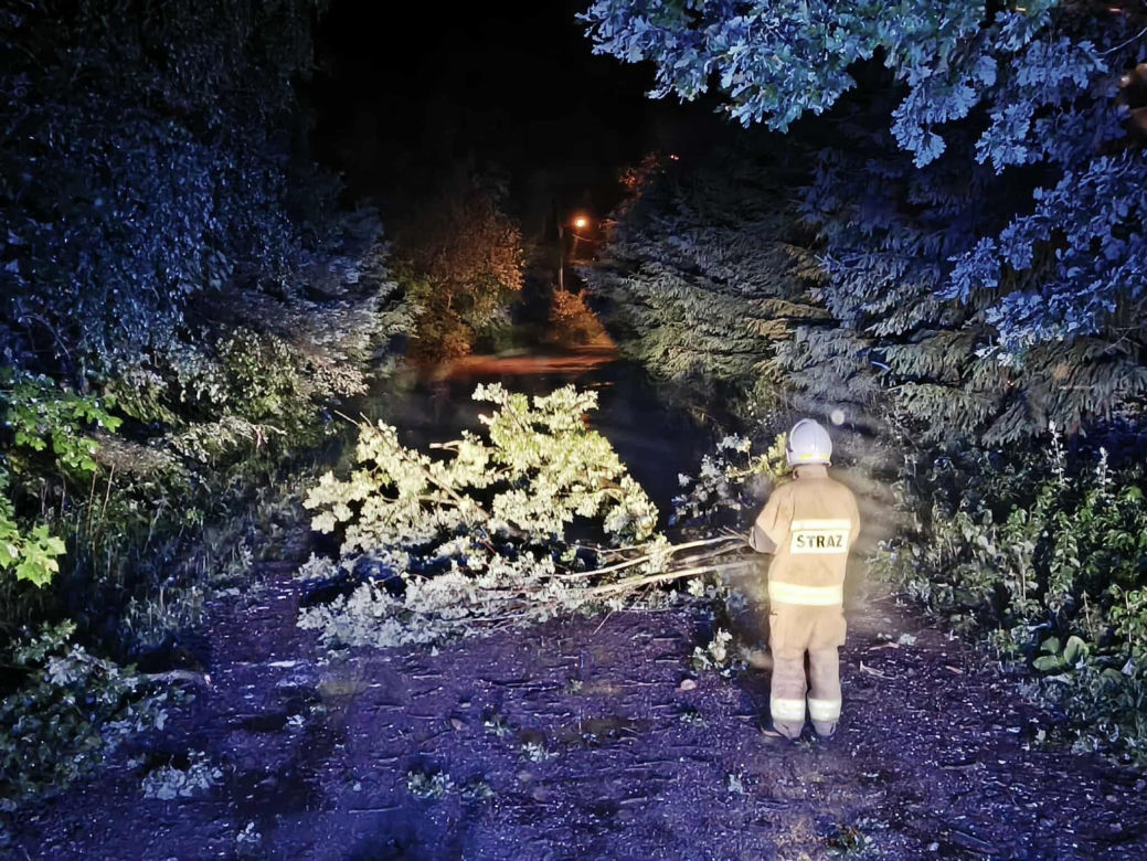 Powalone drzewa, zalania, wstrzymany ruch tramwajów: dramatyczny bilans orkanu nad Śląskiem