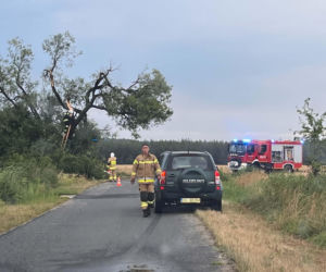 Nawałnica nad powiatem głogowskim. Strażacy interweniowali kilkadziesiąt razy