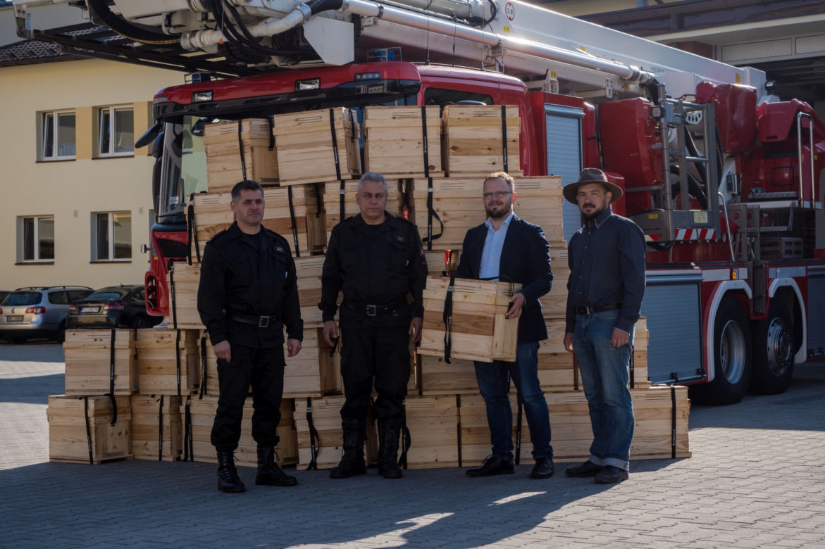 Akcja "Tak dla pszczół" podkarpackich strażaków i Banku Pszczelego