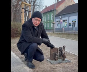 Misie z nalotem. Burmistrz Rawicza apeluje