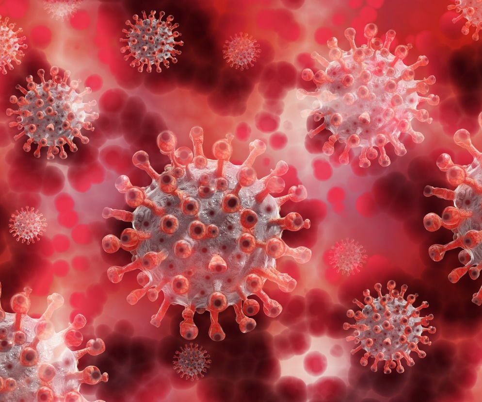 Koronawirus