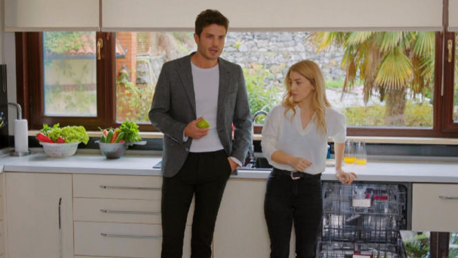 Miłość i nadzieja, odcinek 345. Ege, Seda