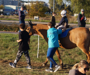 Piknik Wiejskiej Żywności w Fordonie [ZDJĘCIA]