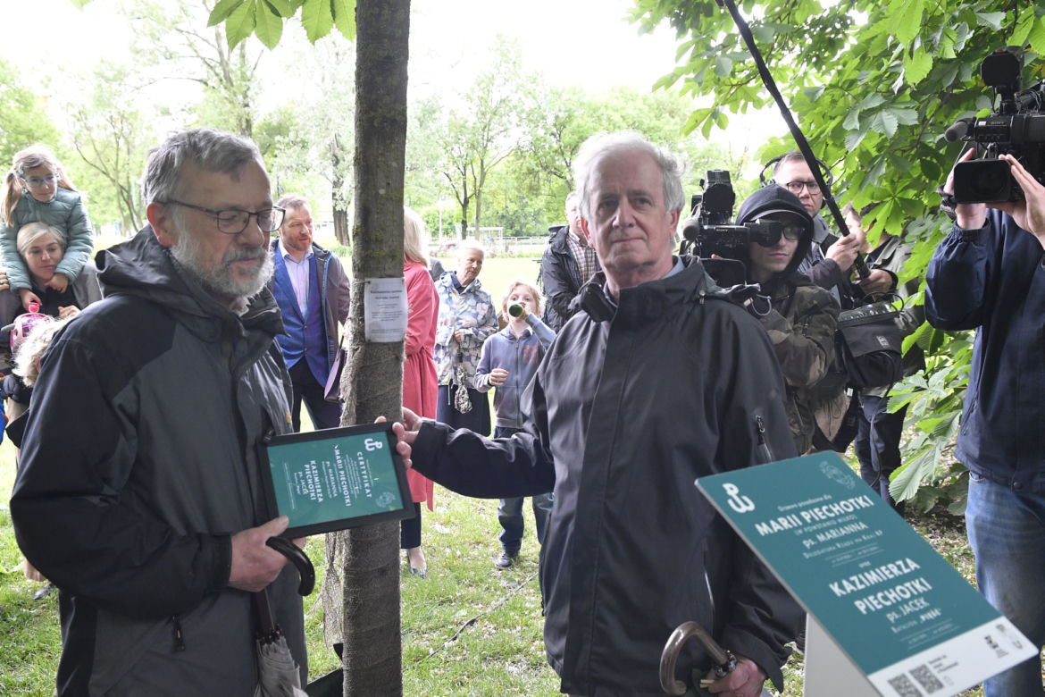 Pamiątkowe tabliczki przy drzewach Powstańców