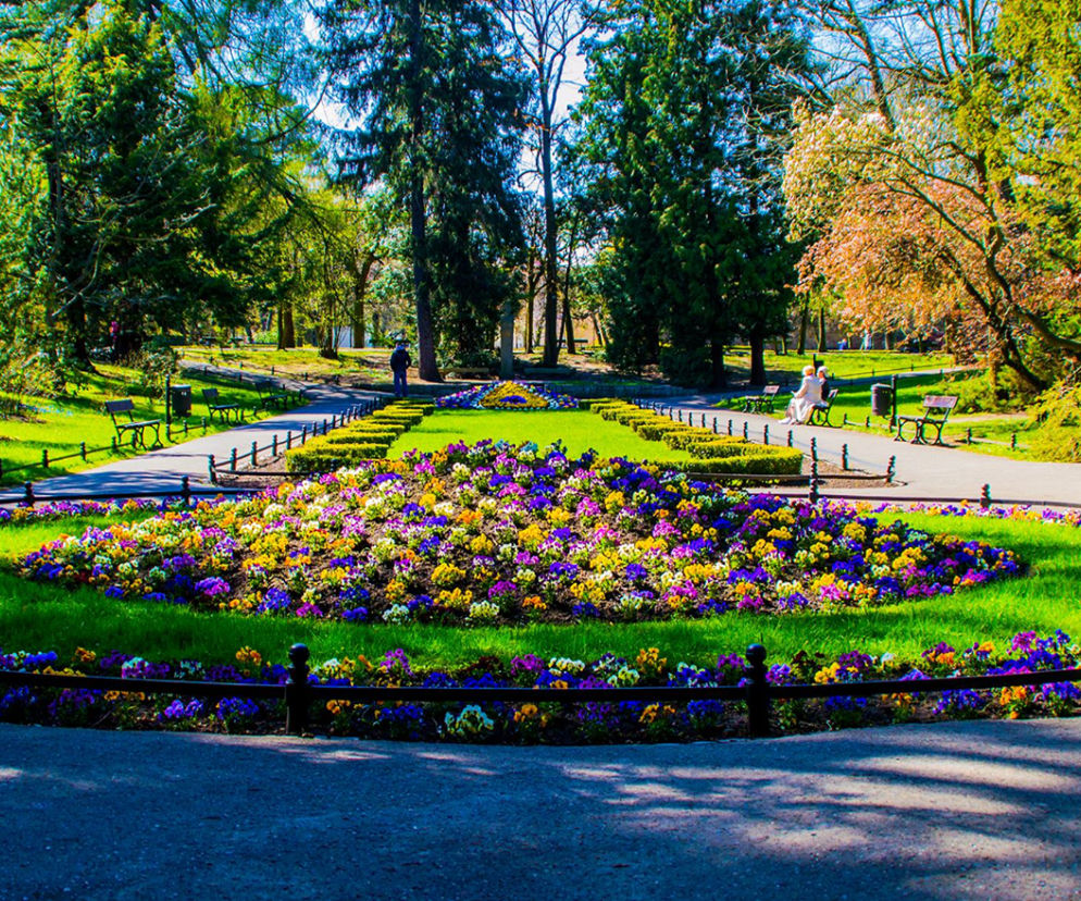 Park Oliwski to wspaniałe miejsce na wiosenne spacery