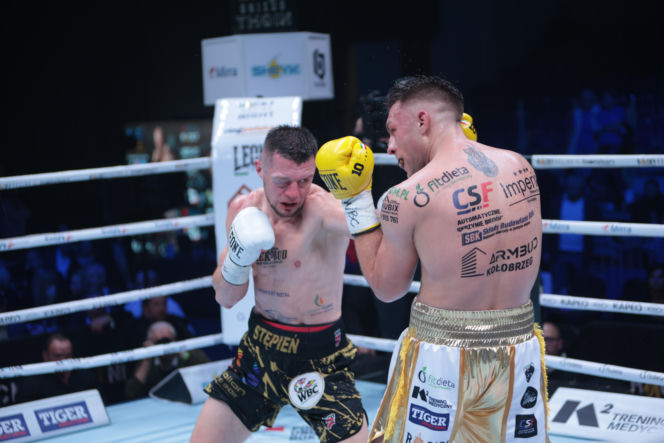 Kalinowski - Stępień