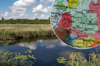 Wielkie zmiany w tworzeniu nowych rezerwatów przyrody. Samorządy dostaną potężne narzędzie