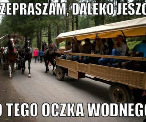  Polacy na wakacjach dają czadu! Zobacz NAJLEPSZE MEMY: Janusz i Grażyna w formie