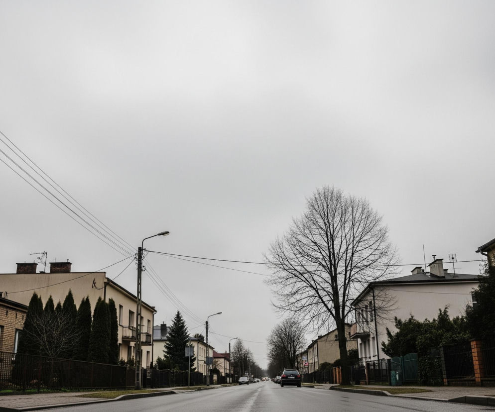 Uliczna perspektywa ukazuje asfaltową drogę biegnącą w oddalenie, z rzędami budynków po obu stronach. Po lewej stronie dominuje jednopiętrowy budynek z cegły z trzema prostokątnymi oknami, otoczony metalowym ogrodzeniem. Po prawej stronie drogi widoczne są dwupiętrowe budynki o jasnych elewacjach, również z metalowymi ogrodzeniami i zielonymi krzewami. Wzdłuż ulicy stoją słupy oświetleniowe, a na horyzoncie widnieje szare, zachmurzone niebo. Na środku kadru, na pasie zieleni, rośnie duże, bezlistne drzewo, a w oddali widać ciemne auto jadące w kierunku widza.