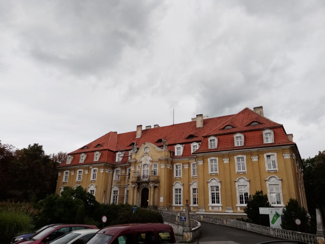 W tej wsi w woj. śląskim znajduje się jeden z najpiękniejszych pałaców. W PRL-u przekształcono go w sanatorium