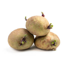 4. Stare ziemniaki – 11 mg/100 g
