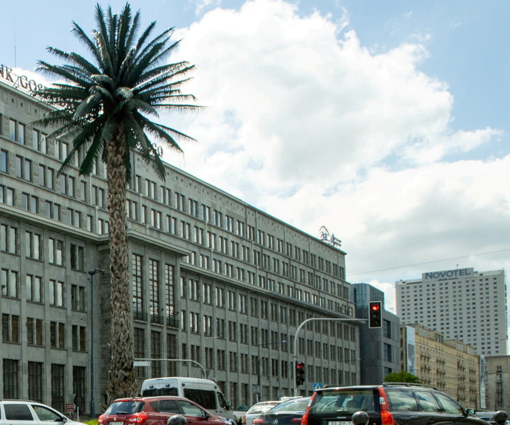 Kryzys na granicy. Mocny głos z centrum Warszawy, przemówiła nawet palma