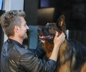 Marcin Rogacewicz w serialu Komisarz Alex