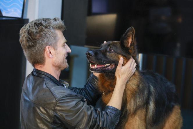 Marcin Rogacewicz w serialu "Komisarz Alex"