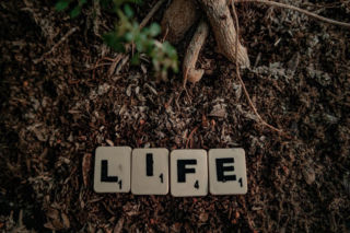 ​Jak uratować trzy życia? Oddając krew!