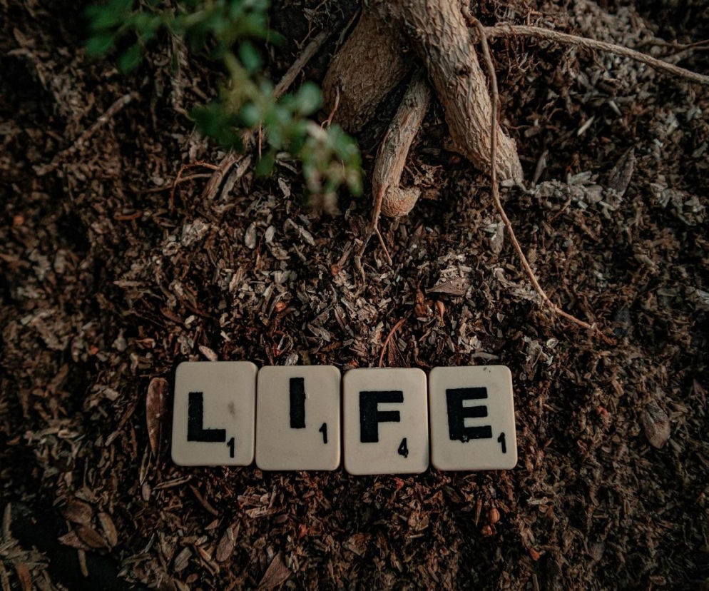 ​Jak uratować trzy życia? Oddając krew!