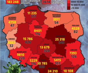 Koronawirus w Polsce (statystyki 19.10.2020 r.)