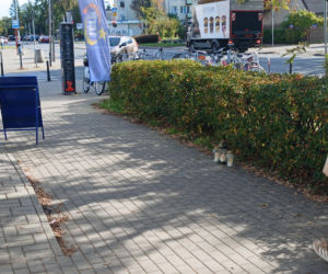 Śmierć na Wawrze
