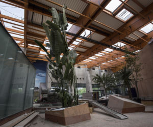 Afrykarium we Wrocławiu - nie tylko zielone ściany