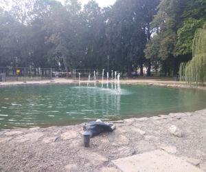 Nowy staw cieszy oczy mieszkańców! Znajdziecie go w jednym z rzeszowskich parków