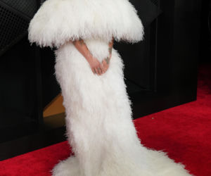 Grammy 2026. Mnóstwo gwiazd na czerwonym dywanie