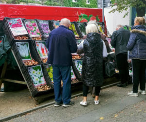 Kiermasz ogrodniczy Pamiętajcie o ogrodach
