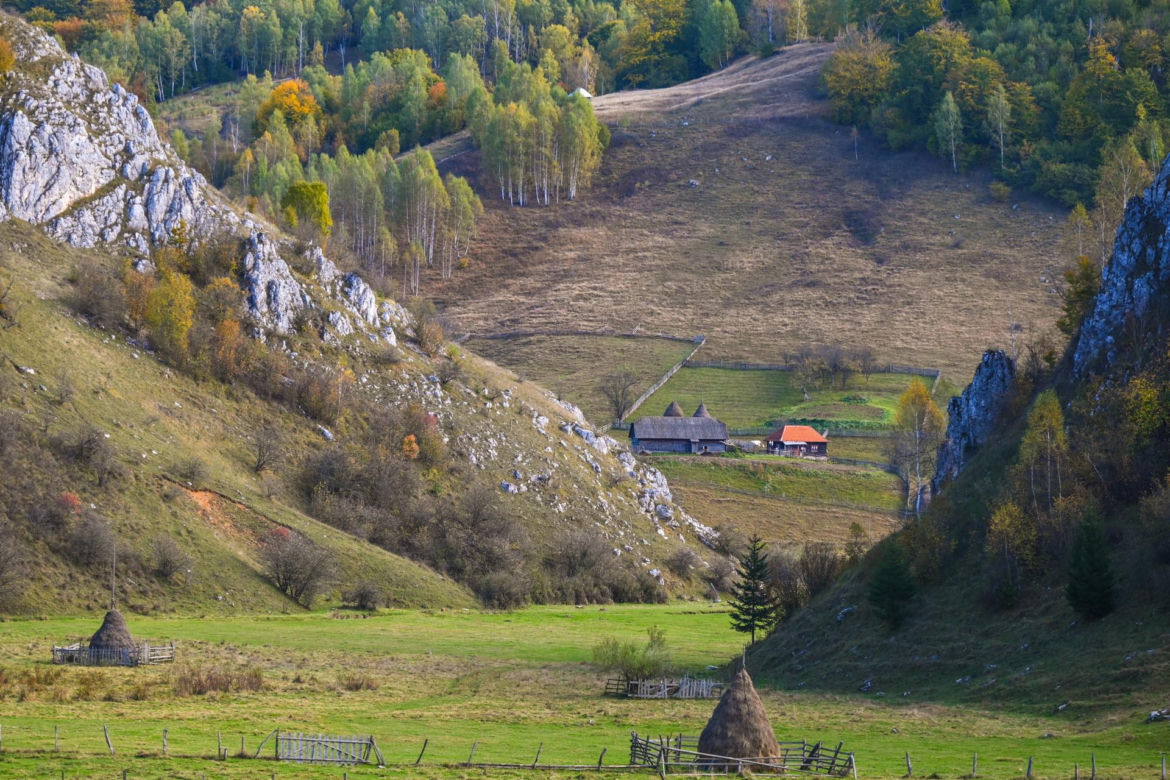 Region karpacki: etnolingwistyka i studia kulturowe - 1,56 kandydata na jedno miejsce