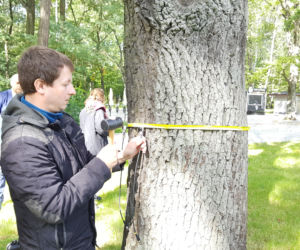 Tomograf dla drzew w Dąbrowie Górniczej 