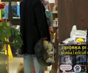 Wieczorek ma nową miłość